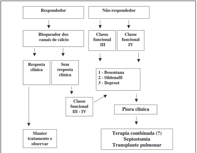 Figura 2 -  Algoritmo proposto para o tratamento da hipertensão pulmonar no Brasil
