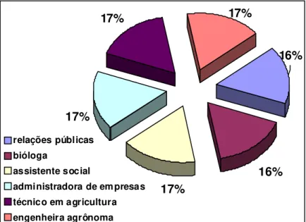 Figura 4 - Distribuição dos sujeitos pesquisados em relação à formação profissional 