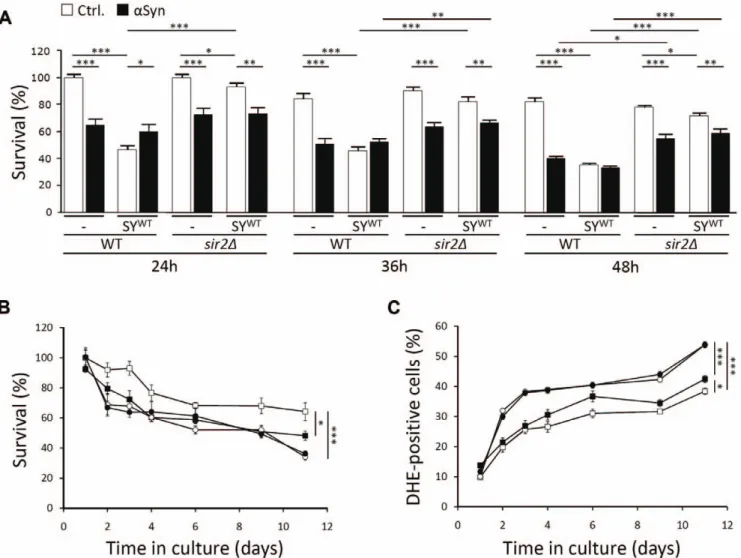 Figure 7. Sir2 mediates synphilin-1 toxicity in yeast. A: Relative quantification of viable cells as determined by their ability to form colonies at different times after inoculation of the wild-type strain or the isogenic sir2D mutant transformed with emp