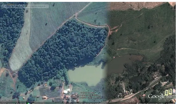Figura 1. Imagem aérea da Mata da Lagoa, fragmento localizado em Lavras/MG. Data  da imagem: 06/07/2014