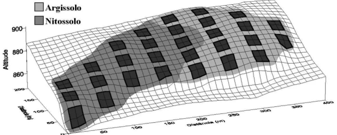 Figura  2.  Diagrama  de  superfície  mostrando  o  relevo,  a  distribuição  das  parcelas  amostrais  de  20  m  ×  20  m  e  os  dois  subgrupos  de  solos  da  Mata  da  Lagoa,  Lavras