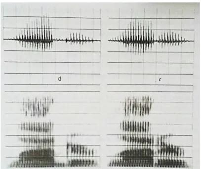 FIGURA 6: Forma de onda e espectrograma para a palavra latter produzida com uma oclusiva intervocálica [d] (esquerda) e uma