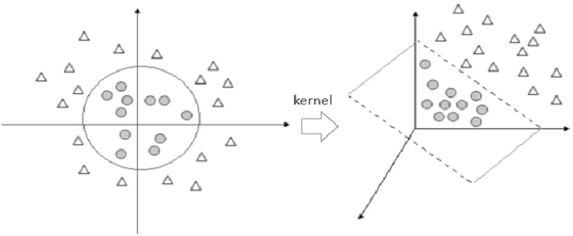 Figura 7: Exemplo de aplicação de uma função kernel. 