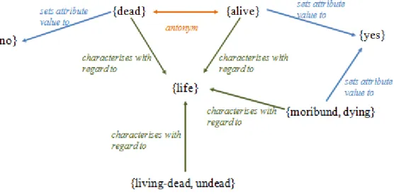 Fig. 8  – WordNet.PT representation of boolean adjectives: dead and alive 