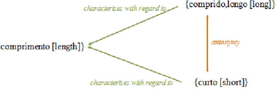 Fig. 10  – Conceptual opposition between curto (short) and longo (long): representation in WordNet.PT 