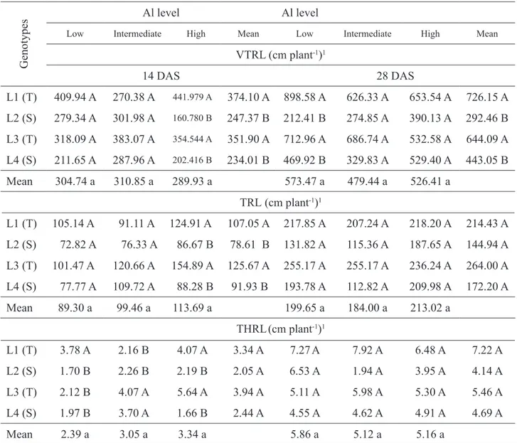 TABLE 6. Root length in diameter class, very thin roots (VTRL, Ø inferior to 0.5 mm); thin roots (TRL, &gt; 0.5  Ø &lt; 2.0 mm); thick roots (THRL, Ø &gt; 2.0 mm) of seedlings of maize genotype in response to different levels  of Al saturation at 14 and 28