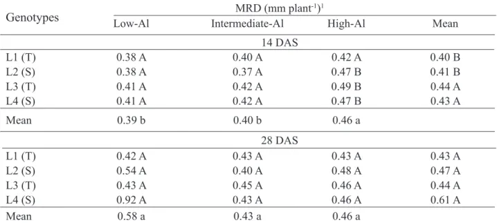 TABLE 5. Mean root diameter (MRD) of maize genotypes in response to different levels of Al saturation at  14 and 28 DAS.