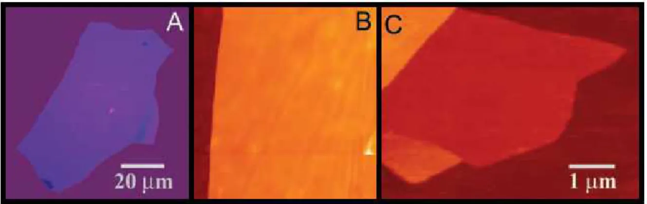 Figura 9: Filmes de grafeno: (a) Fotografia de uma multicamada de grafeno relativamente grande com espessura ∼ 3 nm sobre SiO 2 , (b) imagem de AFM de uma ´area de 4 µm 2 pr´oximo da sua borda(SiO 2 na cor marrom e a cor laranja est´a 3 nm acima do SiO 2 )