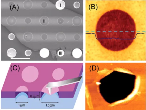 Figura 10: Imagens do experimento: (A) Imagem de micrografia eletrˆonica de um floco de grafeno sobre o substrato de Si com os seus furos