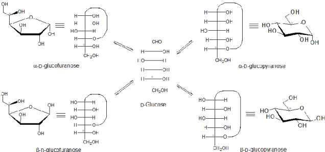 Figure 3: Schematic representation of mutarotation of D-glucose in water 