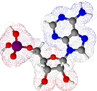 Figure 7: 3D representation of a nucleic acid 