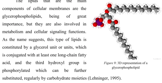 Figure 10 - Chemical structures of some representative quorum sensing signalling molecules for Gram negative bacteria  (a) and for Gram positive bacteria (b) *  Adapted from (Williams, Winzer, Chan, &amp; Camara, 2007) 