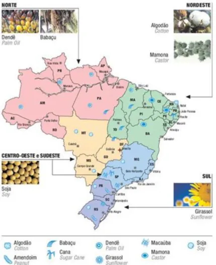 Figura  2:  Potencialidade  brasileira  para  a  produção  e  consumo  de  combustíveis  vegetais