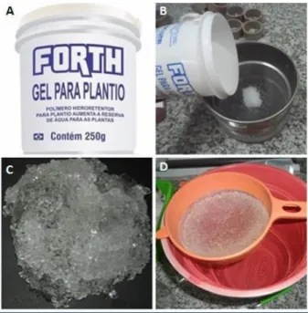Figura 6: A - FortGel ®  produto comercial; B - gel seco; C - gel intumescido e D – gel na  peneira 