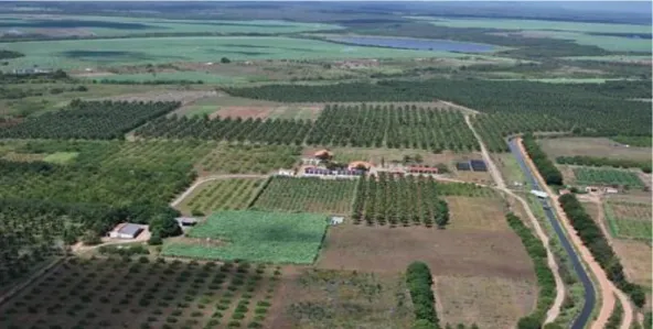 Figura 2  – Vista aérea do Campo Experimental do Curu, Paraipaba – CE. 