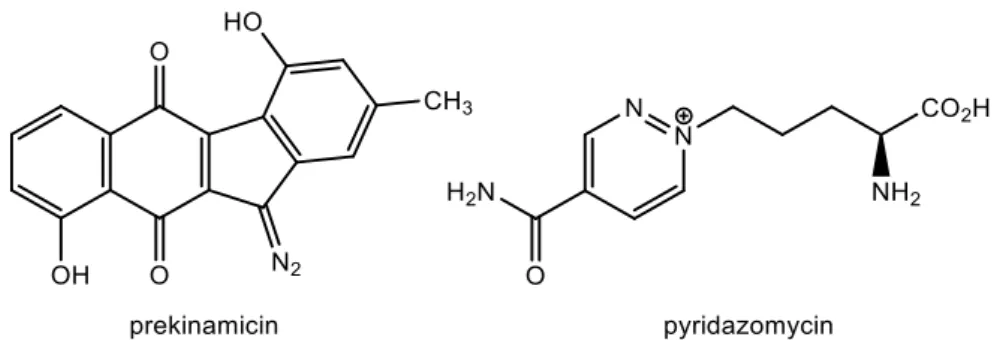 Figure 2: Natural molecules containing diazo groups. 