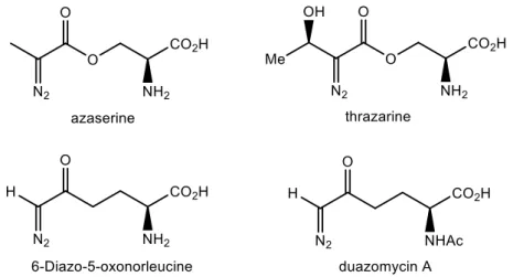 Figure 3: Amino acids containing diazo groups. 