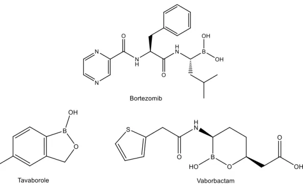 Figure 5: Examples of boronic acid-containing pharmaceutical agents. 