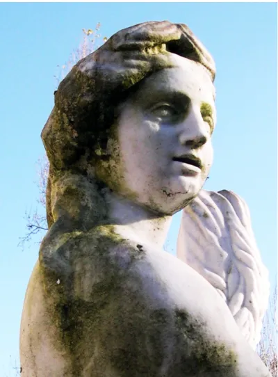 Fig. 1.3. Stone statue from Queluz National Palace (Portugal) showing green biofilms. 