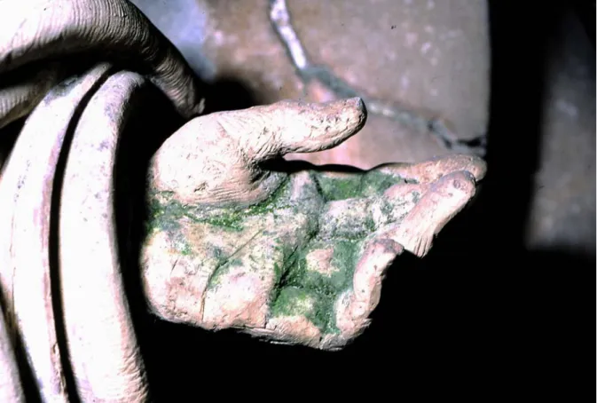 Fig. 2.4. Klebsormidium flaccidum biofilm on a terracotta statue, Cathedral of Seville
