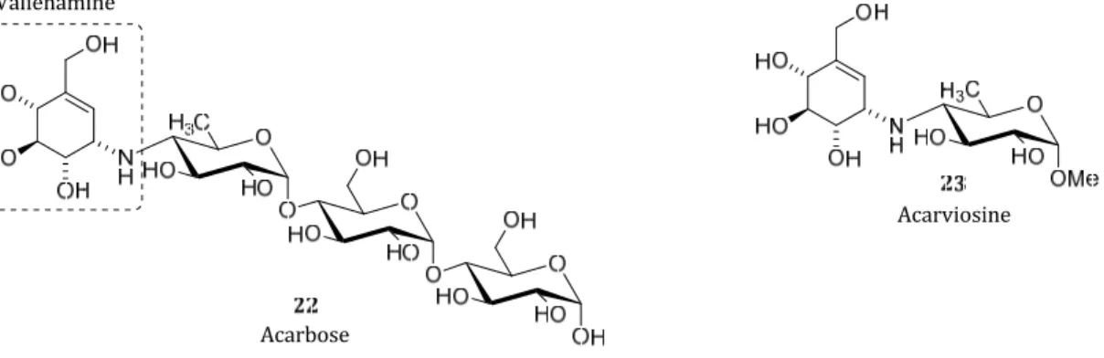 Figure 7. Acarbose 22 and Acarviosine 23 structures. 