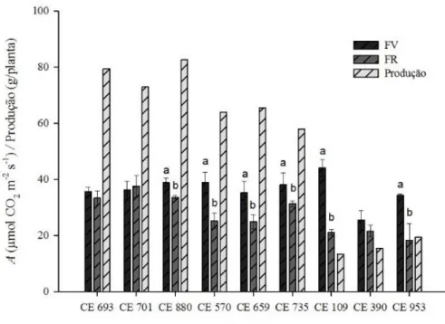 Gráfico  1.  Taxa  fotossintética  na  fase  vegetativa  (FV),  fase  reprodutiva  (FR)  e  produção  por  planta  (g/planta)  em  genótipos  de  feijão-caupi cultivados em regime de sequeiro