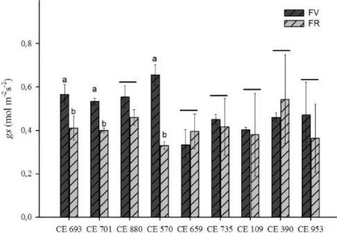 Gráfico  2.  Condutância  estomática  na  fase  vegetativa  (FV)  e  fase  reprodutiva (FR) em genótipos de feijão-caupi cultivados em regime de  sequeiro