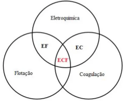Figura  16  -  Diagrama  representativo  das  disposições  dos  mecanismos  que  compõem  a  eletrocoagulação/flotação