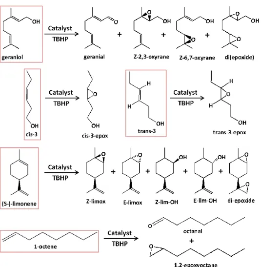 Figure 31. Representative scheme of the substrates tested (framed) and their reaction products  detected by GC-MS
