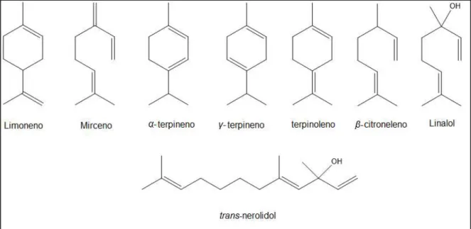 Figura 7   Alguns terpenóides cuja hidroformilação foi estudada pelo Grupo de Catálise da UFMG