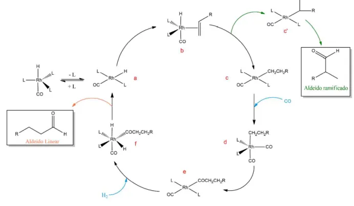 Figura 13 - Esquema do mecanismo dissociativo para a reação de hidroformilação.