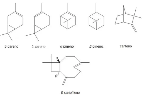 Figura 21   Comparação estrutural entre monoterpenos cíclicos e o  -cariofileno. 