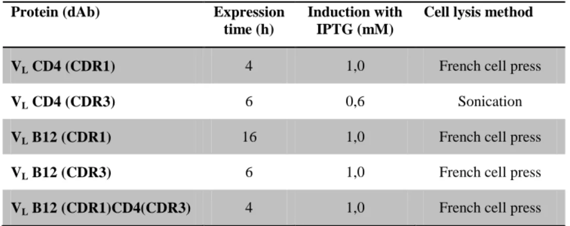 Table 2.4 - Optimal expression conditions for the dAbs cloned in pComb3X.  