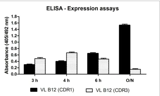 Figure 2.5 - The V L  B12 (CDR1) and V L  B12 (CDR3) protein expression assays were compared by  ELISA assay