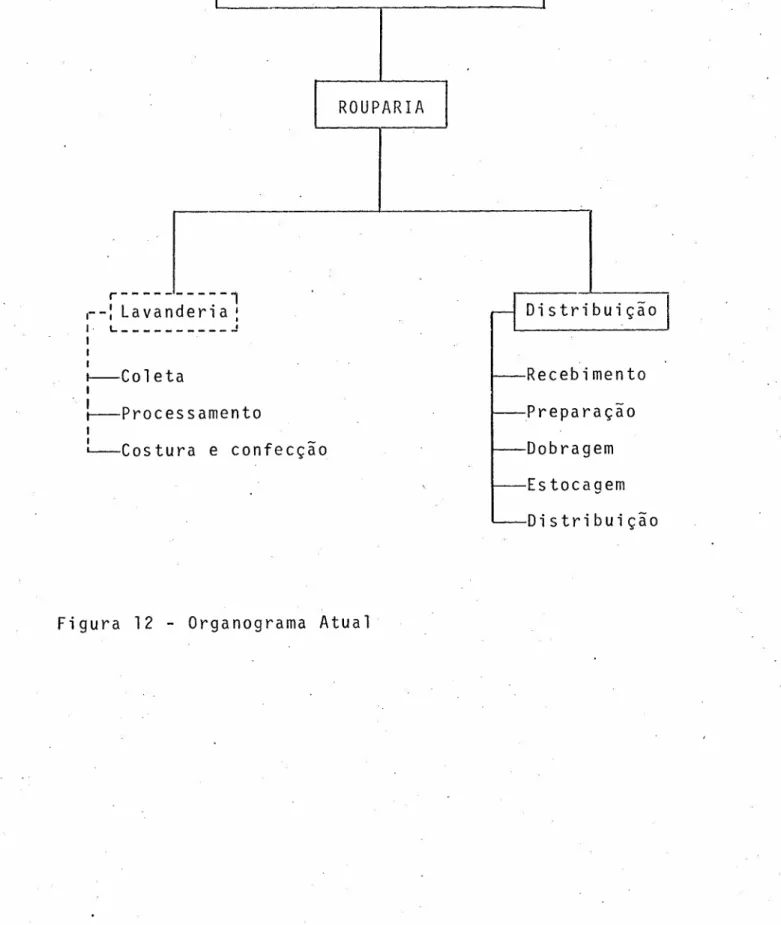 Figura 12 - Organograma Atual