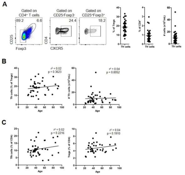 Figure 5: Identification of blood Tfr cells.  