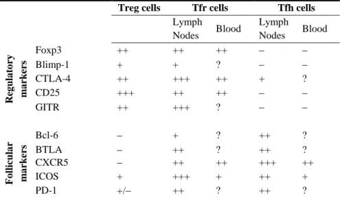 Table 3: Phenotypic markers of Treg, Tfr and Tfh cells in mice 