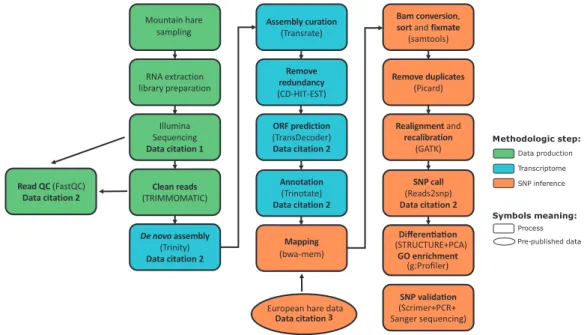 Figure 2. Methodological workﬂow. Flowchart of the RNA-sequencing setup and data analysis steps.