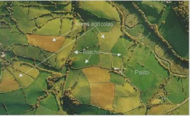 Figura 3: Fotografia vertical colorida normal com a forma que os riachos e as zonas agrícola aparecem em  uma imagem