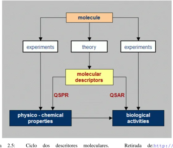 Figura 2.5: Ciclo dos descritores moleculares. Retirada de: http://www.