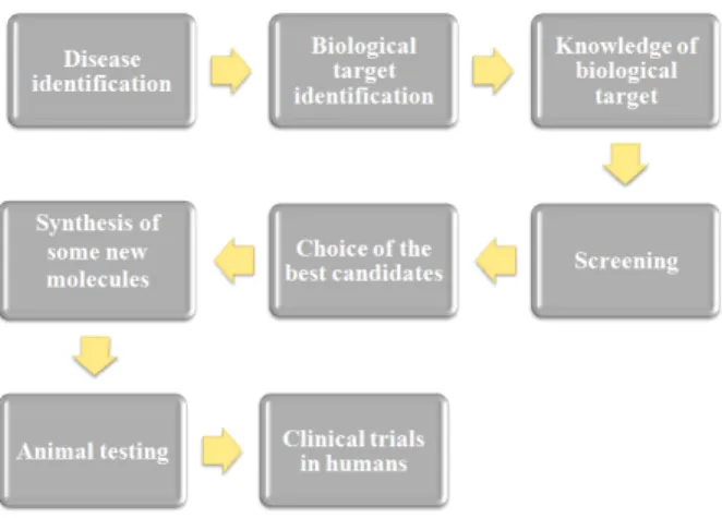 Figure 2.2 summarizes all process of development of new drugs.