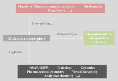 Figure 2.4: Representation of molecular descriptors origin, processing and applications