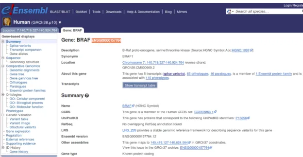Figura 2.2: Pesquisa de um gene na interface web do projeto ENSEMBL
