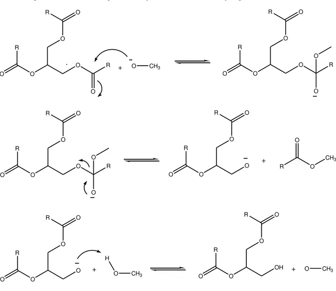 Figura 6 - Mecanismo para a Reação de Transesterificação por Catálise Básica. 