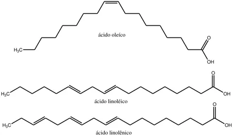 Figura 10 - Molécula de Ácidos Graxos Insaturados Presentes na Composição Química do  Biodiesel