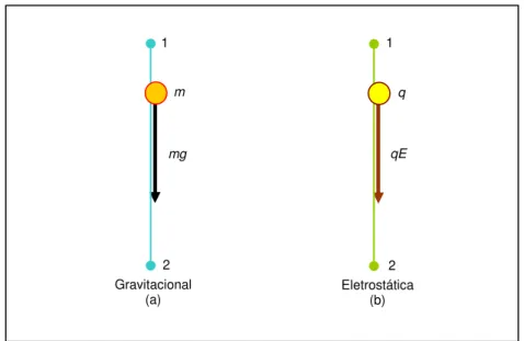 Figura 2.3: (a) Uma força gravitacional mg atuando sobre uma partícula de massa m.  