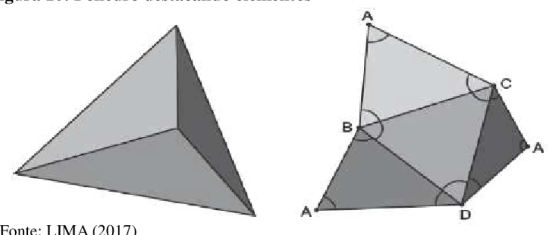 Figura 10: Poliedro destacando elementos 