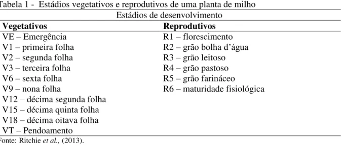 Tabela 1 -  Estádios vegetativos e reprodutivos de uma planta de milho  Estádios de desenvolvimento 