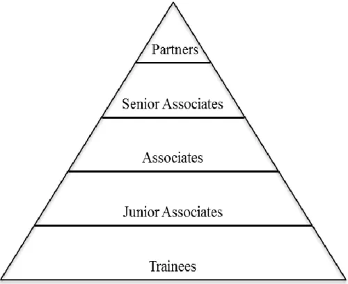 Figure 1. Pyramid  Representing a Traditional  Law  Firms’  Structure. 
