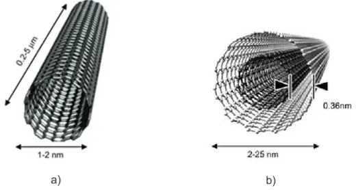 Figura 2.2: a) Nanotubo de Carbono de Parede Simples; b) Nanotubo de Carbono de Parede Dupla [2]